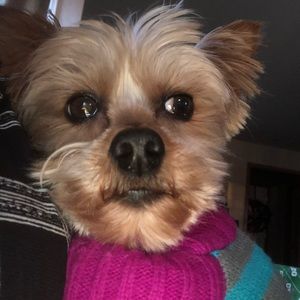 Meet your Posher, Delois